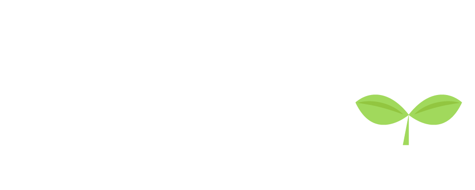 児童書イラスト 動物園 児童書 バレエイラストレーター 井田まめ 小学生 子供 学習参考書 教材